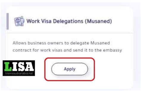 visa delegation check